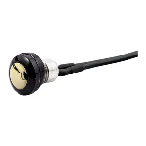 Doss Stainless Switch Black with Brass Button (27-034)