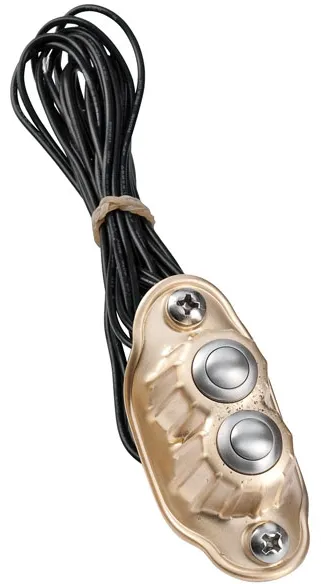 Kustom Tech 2 Buttons Deluxe Line Switch Housing In Satin Brass (20-171)