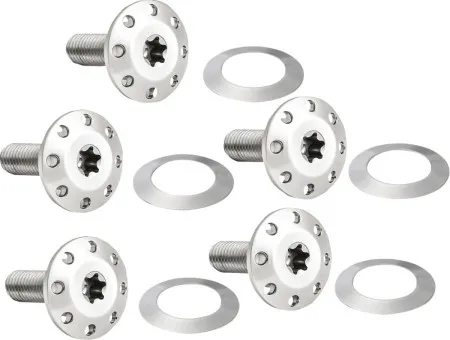 Arlen Ness Titanium Brake Rotor Bolt Kit In Polished For 2014-2023 Touring & 2014-2025 Road King Special (300-906)